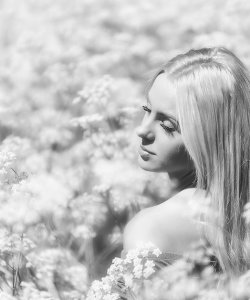 Blossom