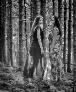 Fairies