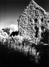 infrared