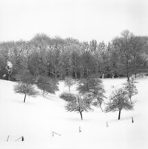 winter