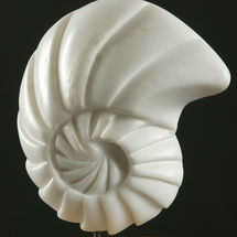 NAUTILUS