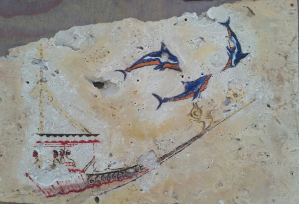 flying dolphins