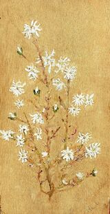 Magnolias on Driftwood