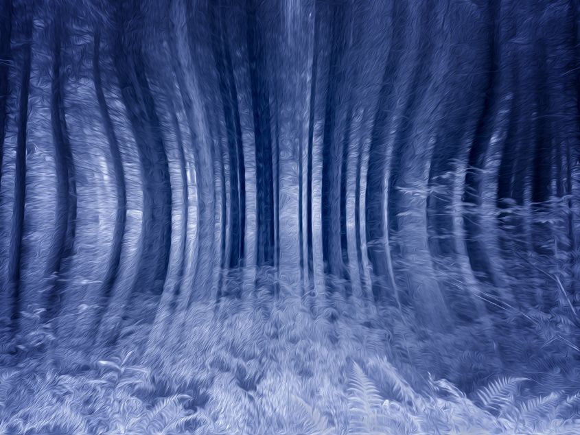 Alternative Woodland