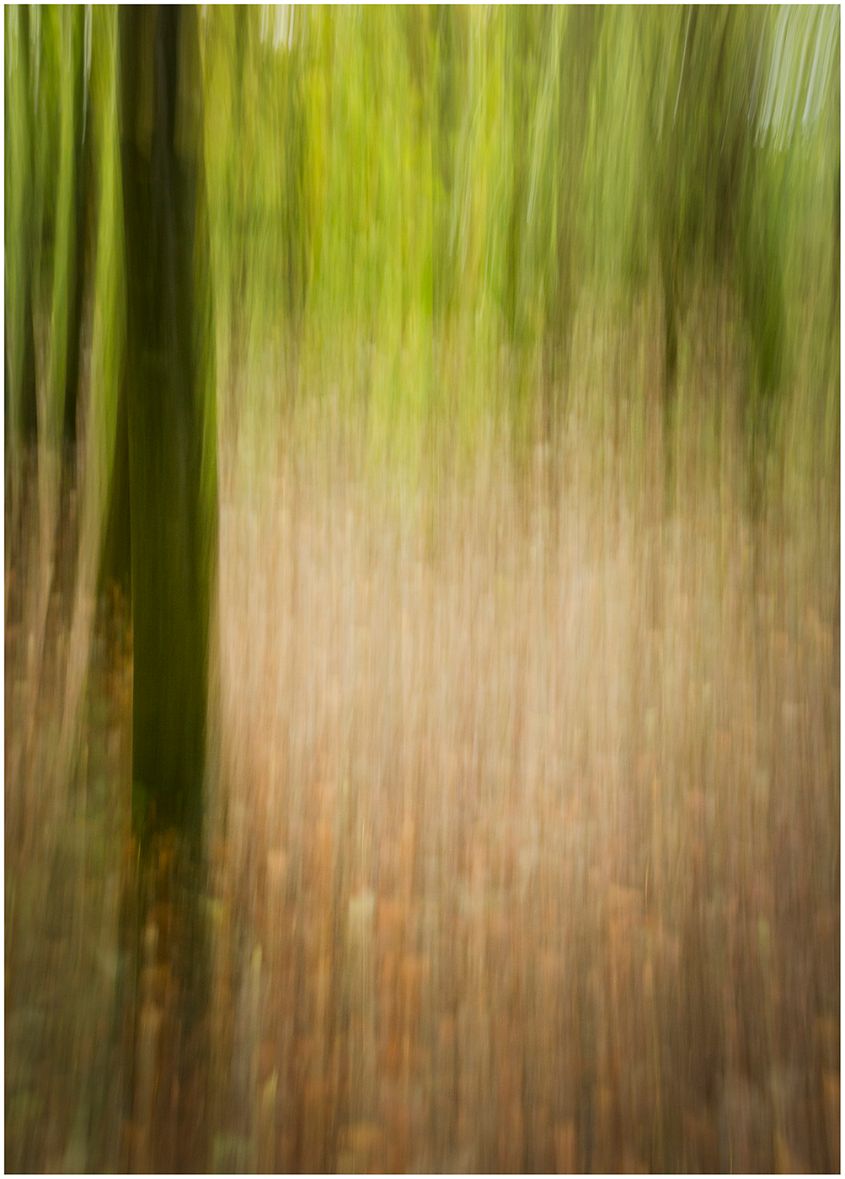 Artisitc ICM