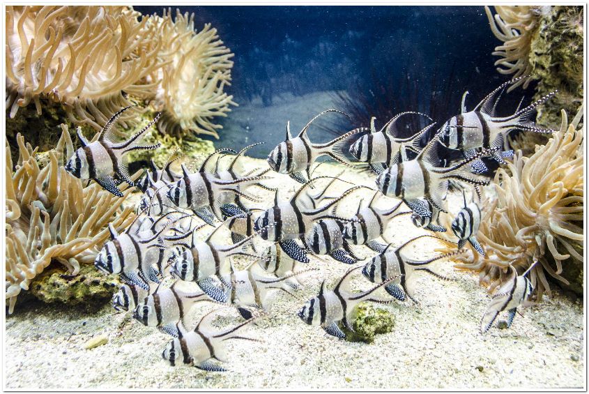 Briney Sea by Chris Morris