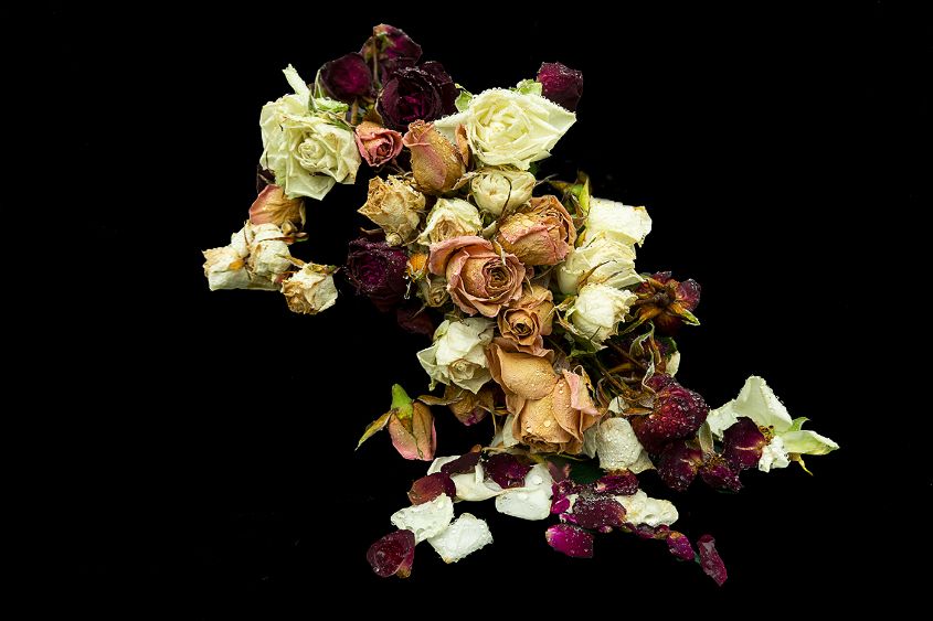Decaying Bouquet