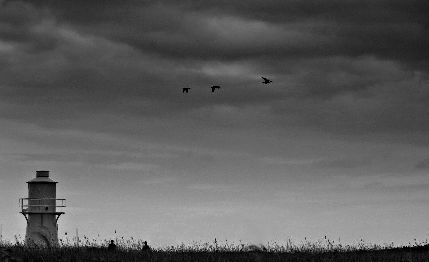 East Usk Lighthouse - the Wetlands - mono
