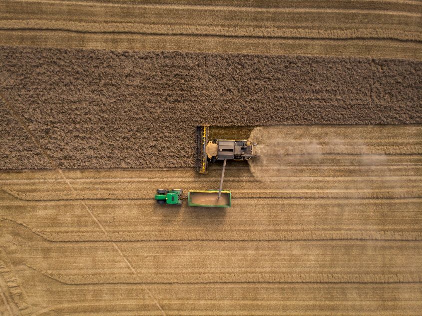 Harvest Time