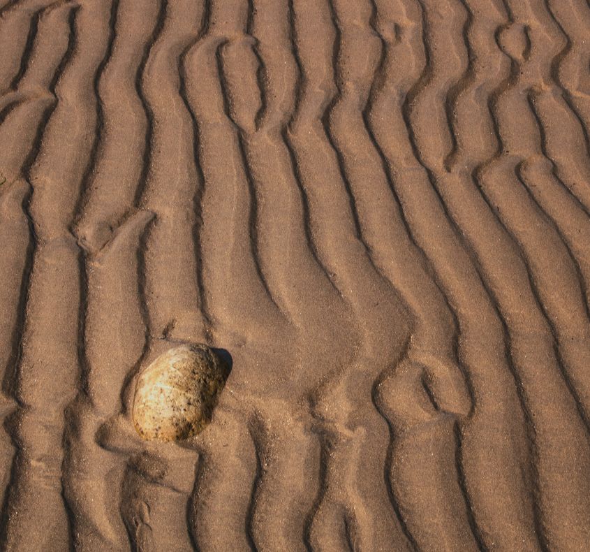 Pebble in the Sand