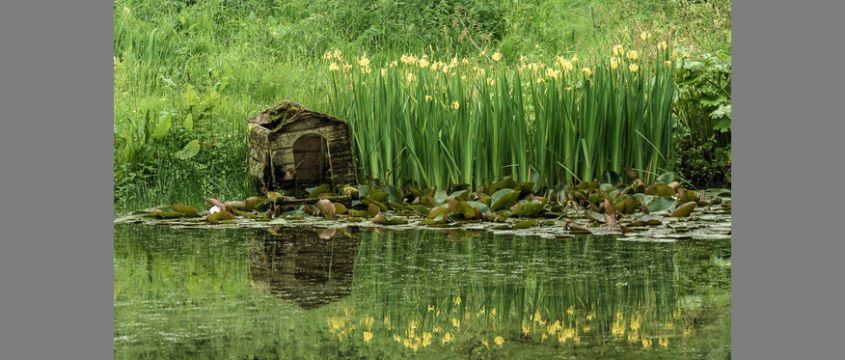 Pond Dwelling wide
