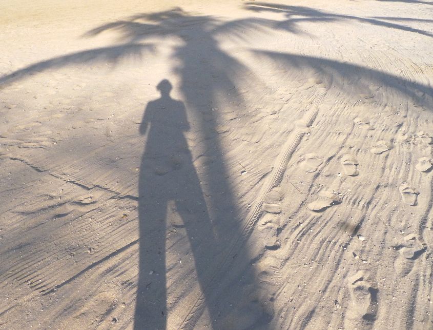 Sandy shadow