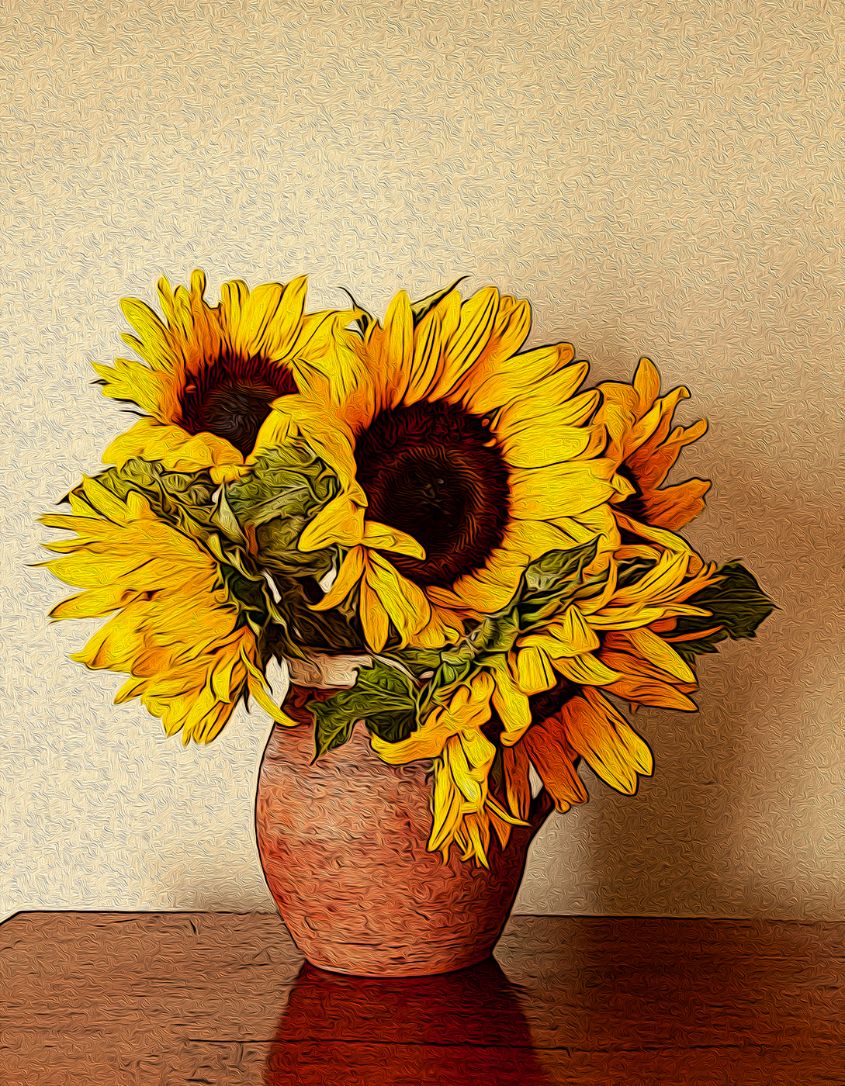 Sunflowers