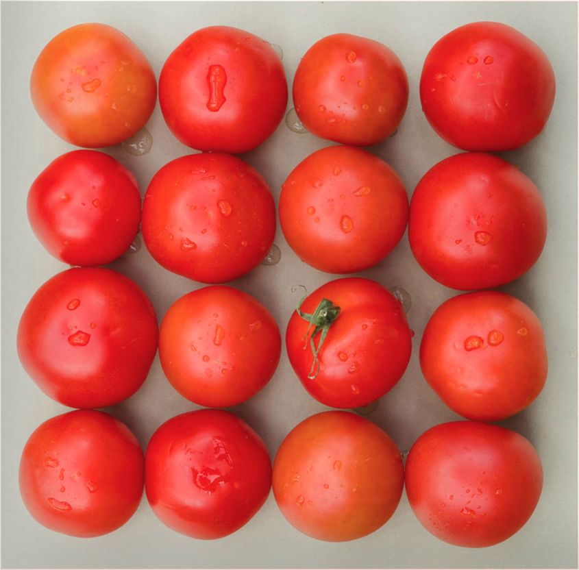Tomatoes