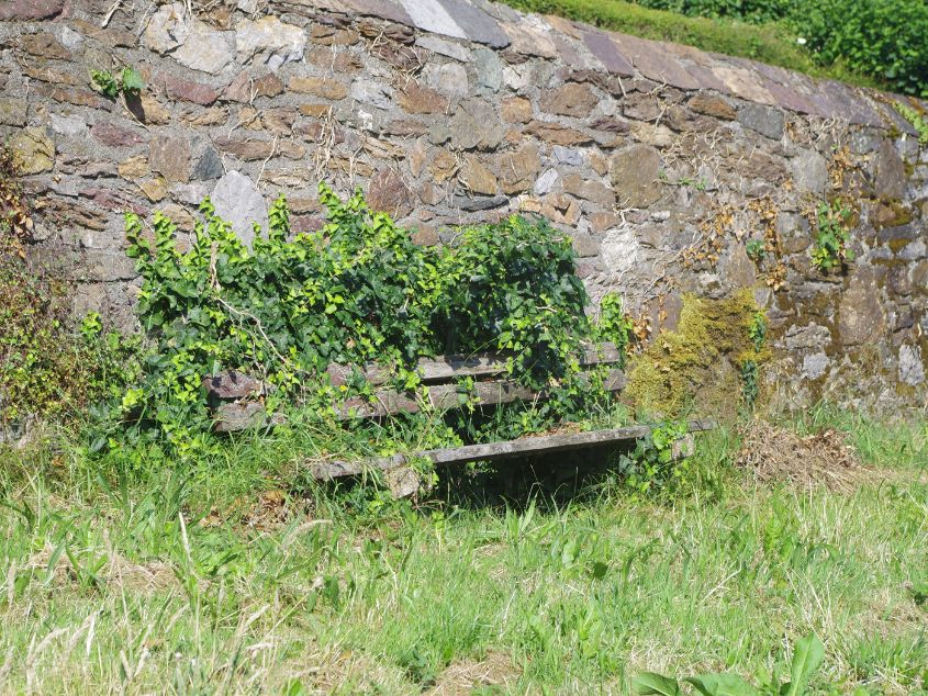 Totnes Bench
