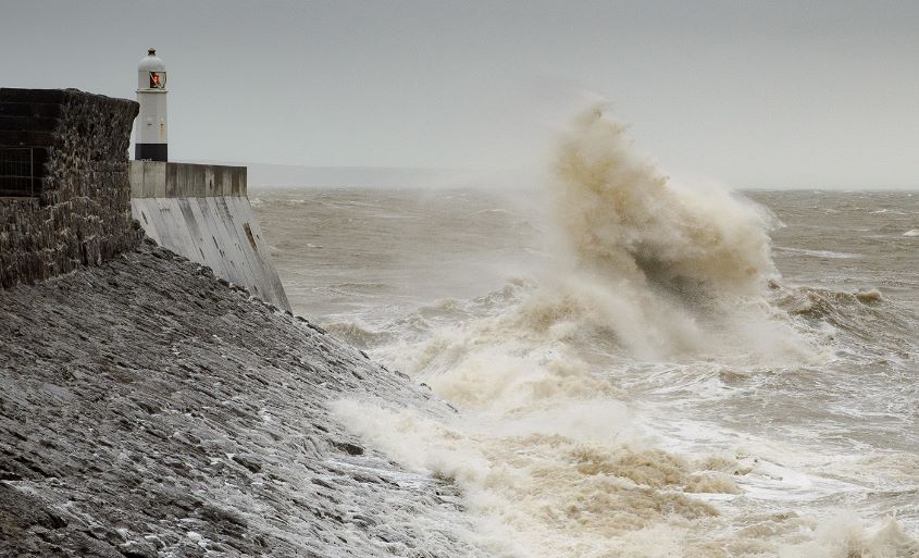 Wild Sea by Alison Stace