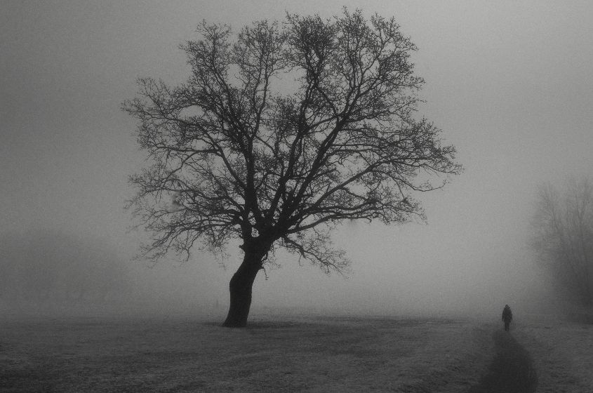 Winter Walk