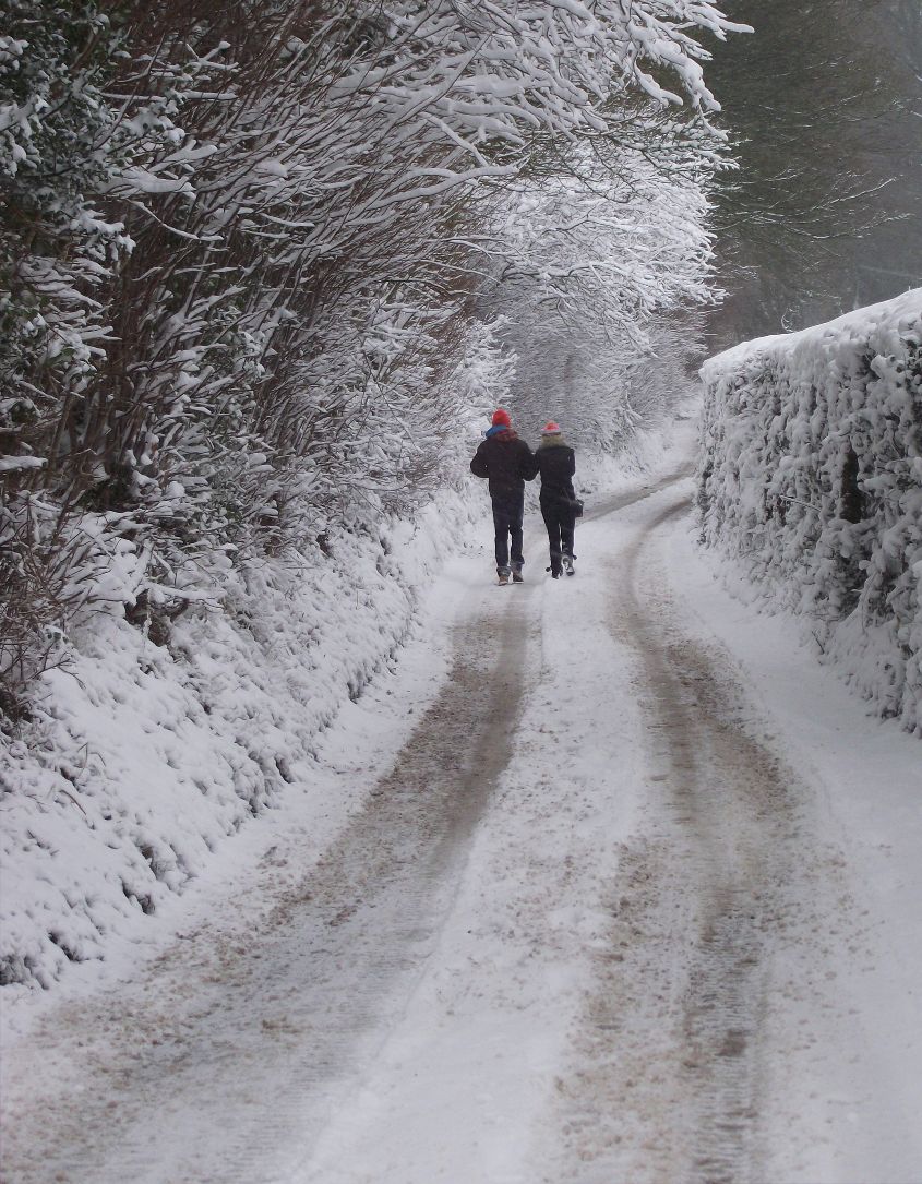walkers in the snow