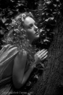 Pre-Raphaelite Series