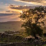 Drying out after the rains, above Settle