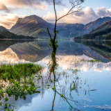 LoneTree at Buttermere