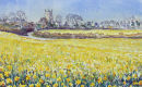 Cornish Daffodils.