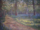Bluebell Woods, Godolphin House.