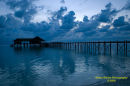 Jetty