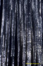 Icicles