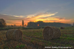 Hayfield, near Romenay