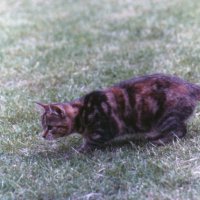 Mrs Simpson as a teenager!