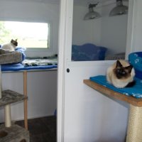 This is our latest pen which is large enough for 4 cats