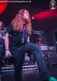 HRHV0838-