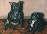 Porgy and Bess the Staffordshire Terriers