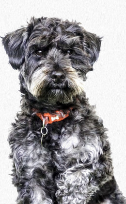 Dudley