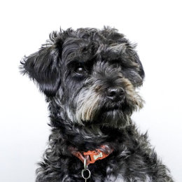 Dudley