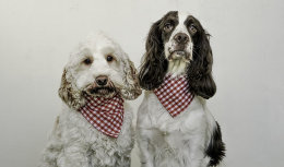 Holly and Lily