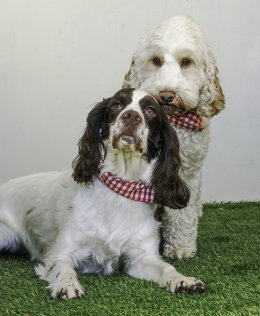 Holly and Lily