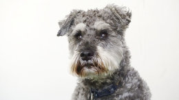 Rupert