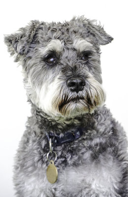 Rupert