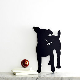 Jack Russell Terrier
