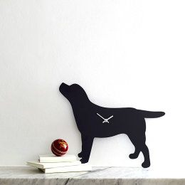 Black Labrador