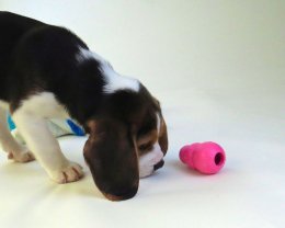 Patch at 8 weeks old - December 10th 2014