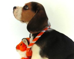 Patch at 8 weeks old - December 10th 2014