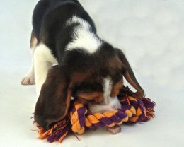 Patch at 8 weeks old - December 10th 2014