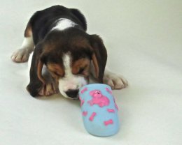 Patch at 8 weeks old - December 10th 2014