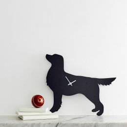 Black Retriever