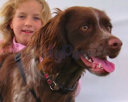 Felsted Family Day 2104