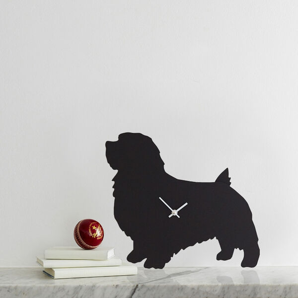 Terrier