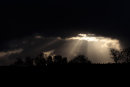 Rays of sunshine on a stormy day.